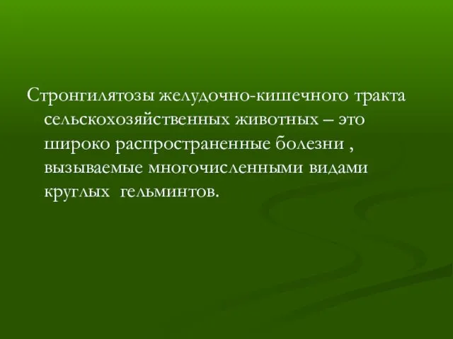 Стронгилятозы желудочно-кишечного тракта сельскохозяйственных животных – это широко распространенные болезни , вызываемые многочисленными видами круглых гельминтов.