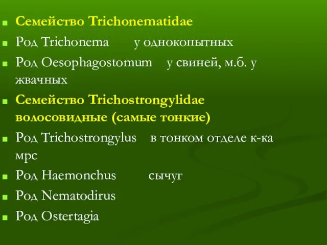 Семейство Trichonematidae Род Trichonema у однокопытных Род Oesophagostomum у свиней, м.б. у жвачных