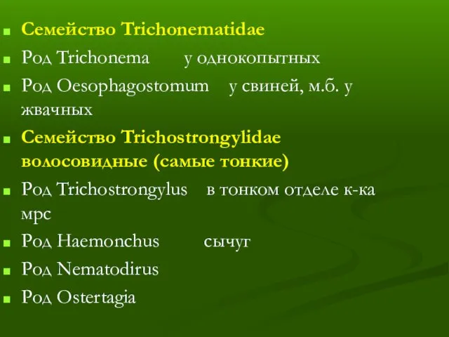 Семейство Trichonematidae Род Trichonema у однокопытных Род Oesophagostomum у свиней,