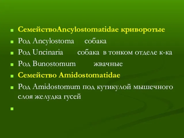 СемействоAncylostomatidae криворотые Род Ancylostoma собака Род Uncinaria собака в тонком отделе к-ка Род