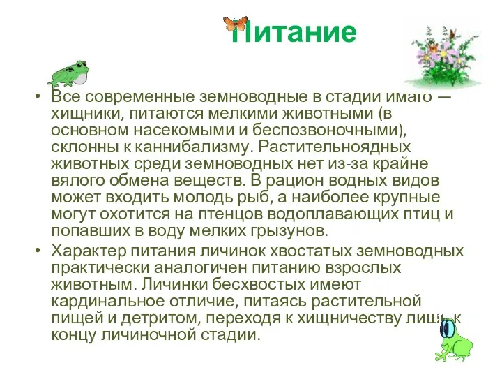 Питание Все современные земноводные в стадии имаго — хищники, питаются