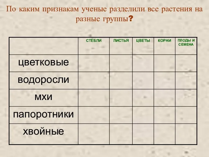 По каким признакам ученые разделили все растения на разные группы?