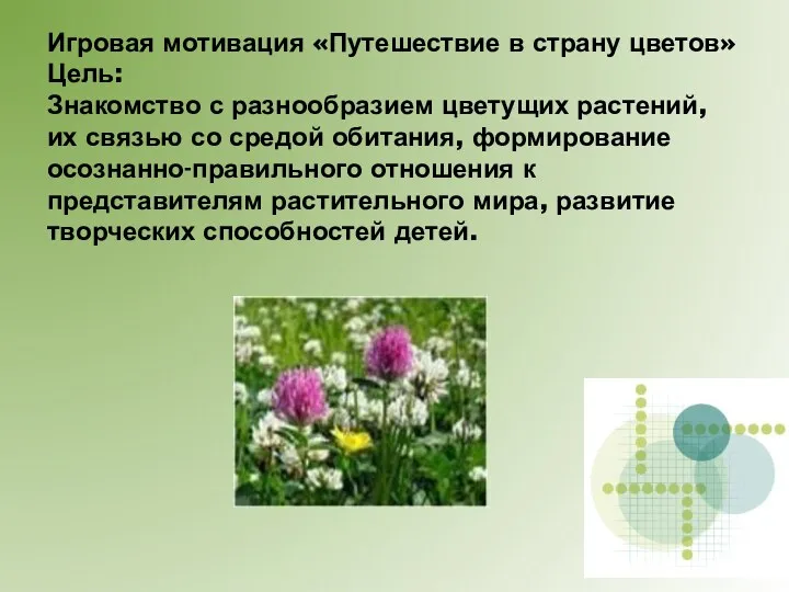 Игровая мотивация «Путешествие в страну цветов» Цель: Знакомство с разнообразием цветущих растений, их