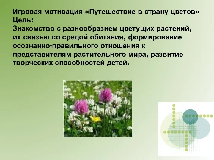 Игровая мотивация «Путешествие в страну цветов» Цель: Знакомство с разнообразием