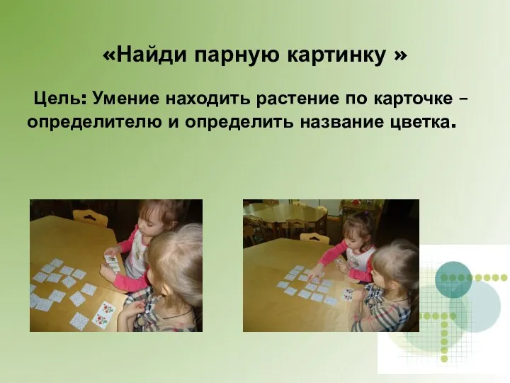 «Найди парную картинку » Цель: Умение находить растение по карточке – определителю и определить название цветка.