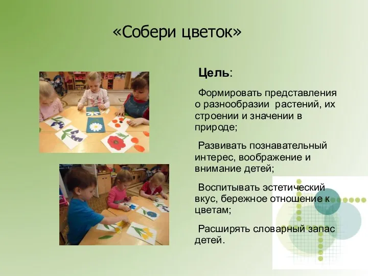 «Собери цветок» Цель: Формировать представления о разнообразии растений, их строении