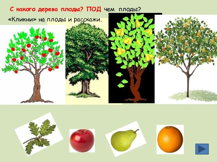 С какого дерева плоды? ПОД чем плоды? «Кликни» на плоды и расскажи.