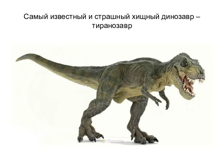 Самый известный и страшный хищный динозавр – тиранозавр