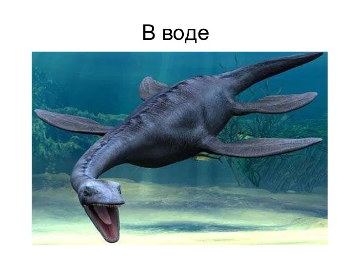 В воде