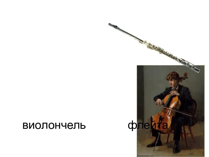 виолончель флейта