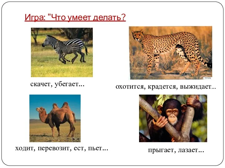 Игра: "Что умеет делать? скачет, убегает... охотится, крадется, выжидает... прыгает, лазает... ходит, перевозит, ест, пьет...