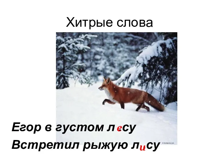 Хитрые слова Егор в густом л .су Встретил рыжую л .су е и