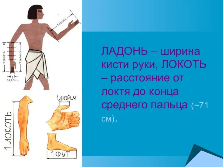 ЛАДОНЬ – ширина кисти руки, ЛОКОТЬ – расстояние от локтя до конца среднего пальца (~71 см).