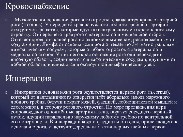 Кровоснабжение Мягкие ткани основания рогового отростка снабжаются кровью артерией рога