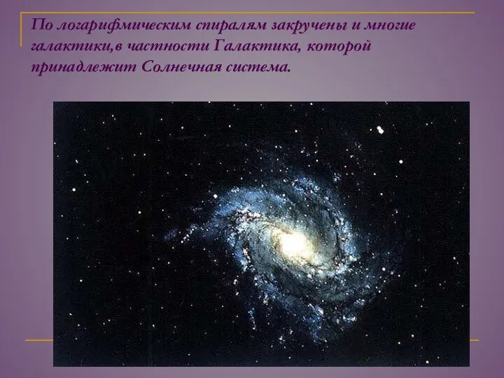 По логарифмическим спиралям закручены и многие галактики,в частности Галактика, которой принадлежит Солнечная система.