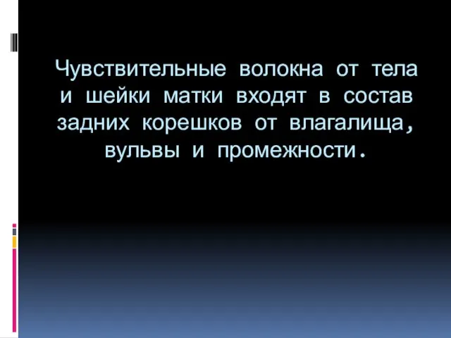 Чувствительные волокна от тела и шейки матки входят в состав