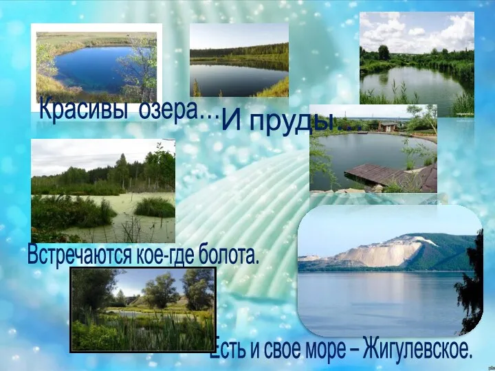 Красивы озера… И пруды… Есть и свое море – Жигулевское. Встречаются кое-где болота.