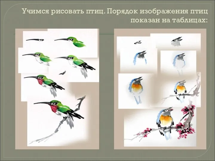 Учимся рисовать птиц. Порядок изображения птиц показан на таблицах: