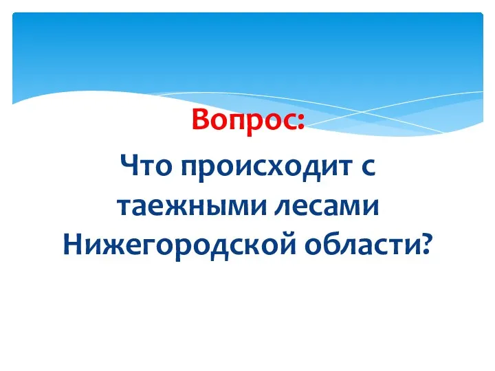 Вопрос: Что происходит с таежными лесами Нижегородской области?