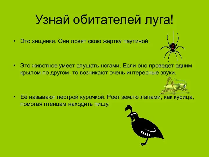 Узнай обитателей луга! Это хищники. Они ловят свою жертву паутиной.