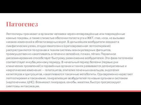 Патогенез Лептоспиры проникают в организм человека через неповреждённые или повреждённые