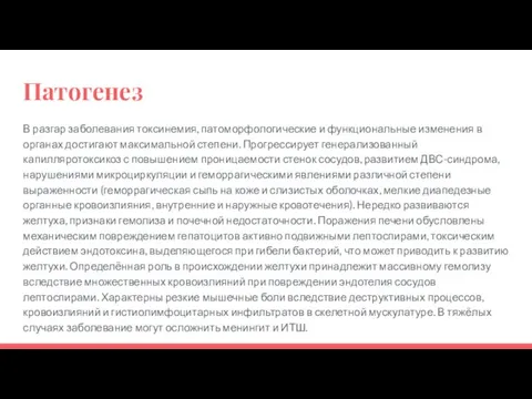 Патогенез В разгар заболевания токсинемия, патоморфологические и функциональные изменения в