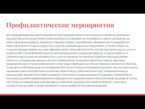 Профилактические мероприятия Для предупреждения распространения иктерогеморрагического лептоспироза в наиболее заселённых