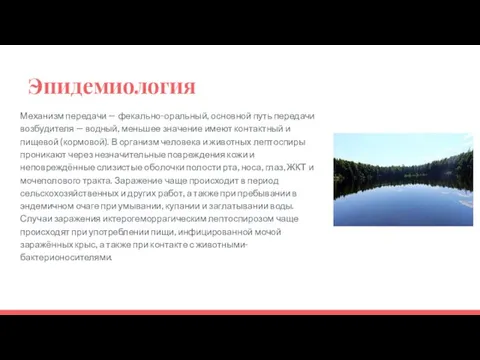 Эпидемиология Механизм передачи — фекально-оральный, основной путь передачи возбудителя —