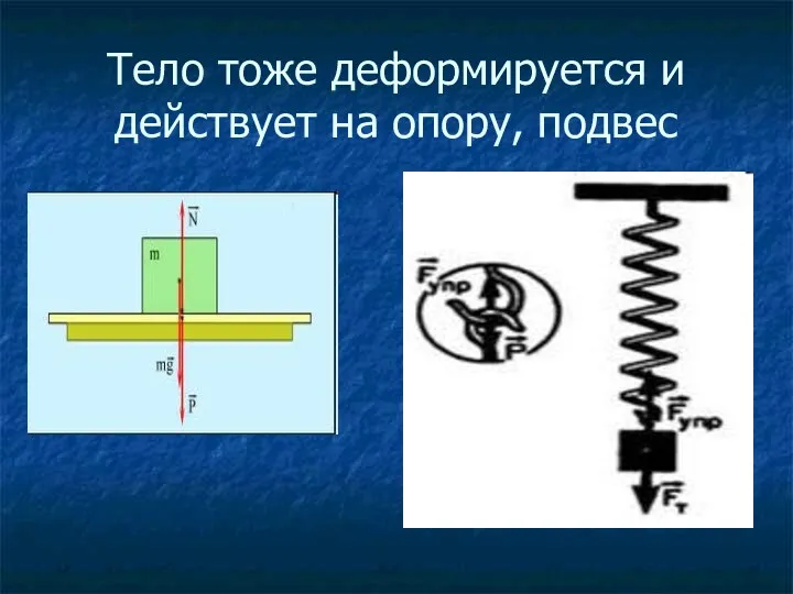 Тело тоже деформируется и действует на опору, подвес