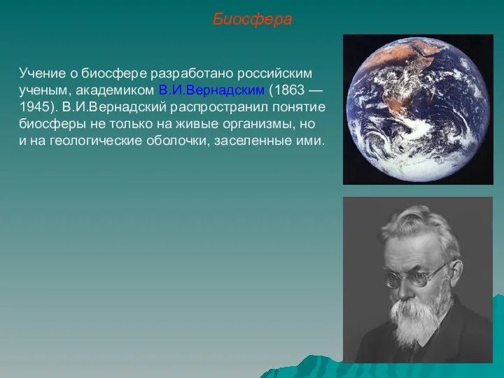 Биосфера Учение о биосфере разработано российским ученым, академиком В.И.Вернадским (1863