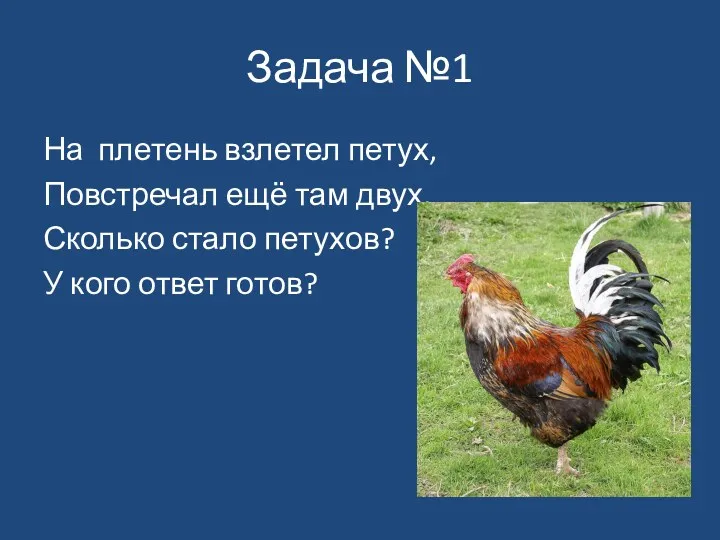 Задача №1 На плетень взлетел петух, Повстречал ещё там двух.