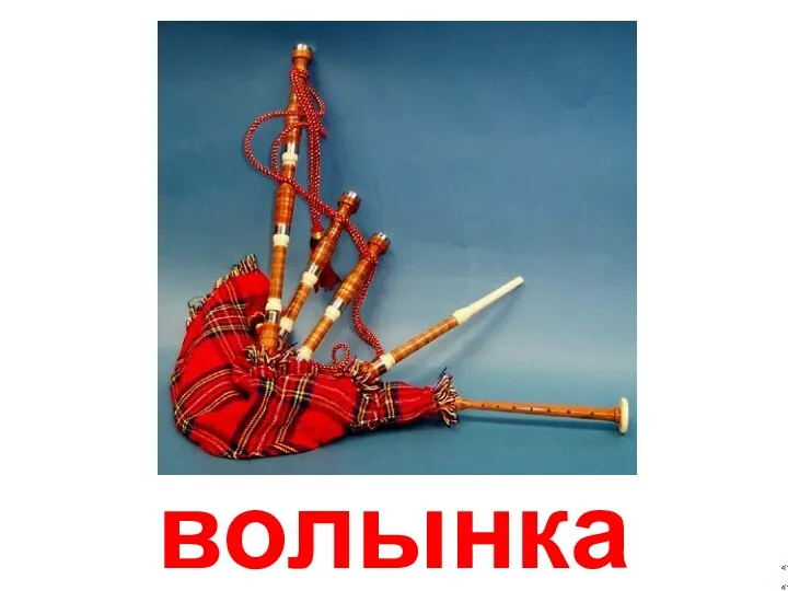 волынка