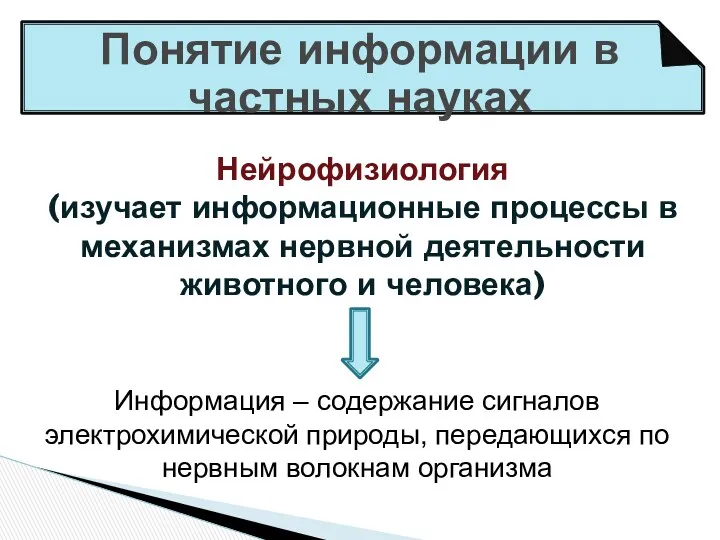 Понятие информации в частных науках Нейрофизиология (изучает информационные процессы в механизмах нервной деятельности