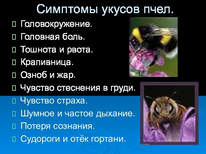 Симптомы укусов пчел. Головокружение. Головная боль. Тошнота и рвота. Крапивница.
