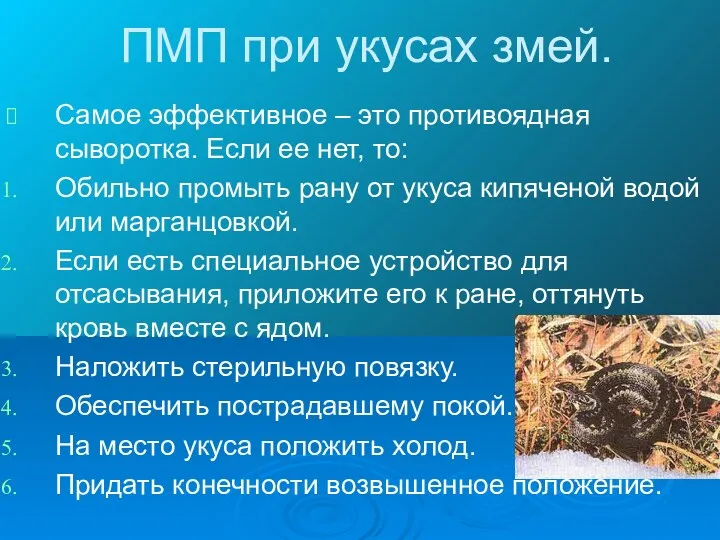 ПМП при укусах змей. Самое эффективное – это противоядная сыворотка.