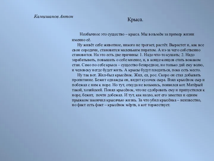 Крыса. Необычное это существо – крыса. Мы возьмём за пример