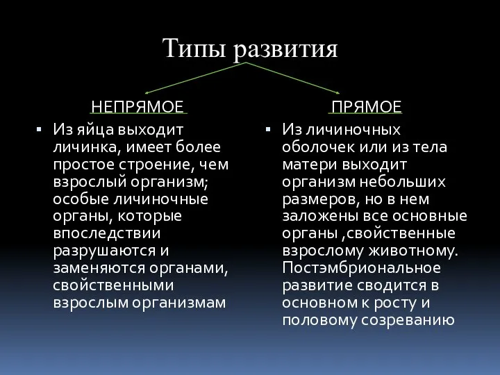 Типы развития НЕПРЯМОЕ Из яйца выходит личинка, имеет более простое