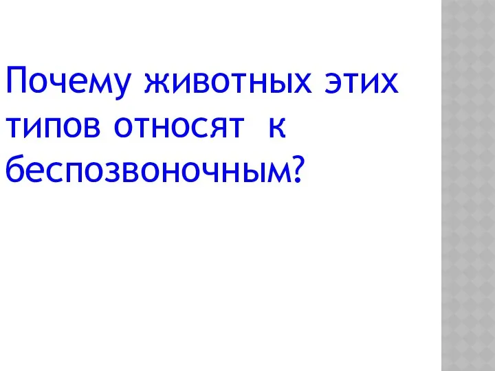 Почему животных этих типов относят к беспозвоночным?