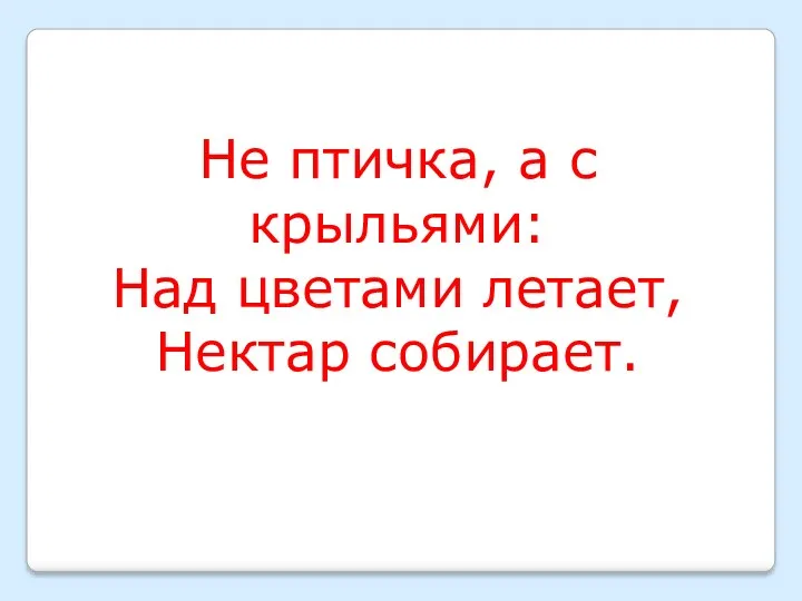 Не птичка, а с крыльями: Над цветами летает, Нектар собирает.