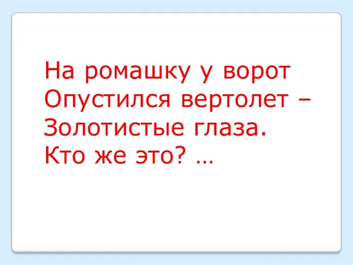 На ромашку у ворот Опустился вертолет – Золотистые глаза. Кто же это? …