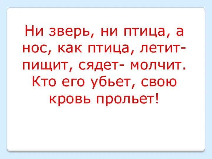 Ни зверь, ни птица, а нос, как птица, летит- пищит,