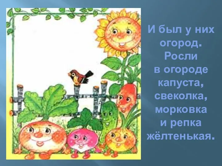 И был у них огород. Росли в огороде капуста, свеколка, морковка и репка жёлтенькая.