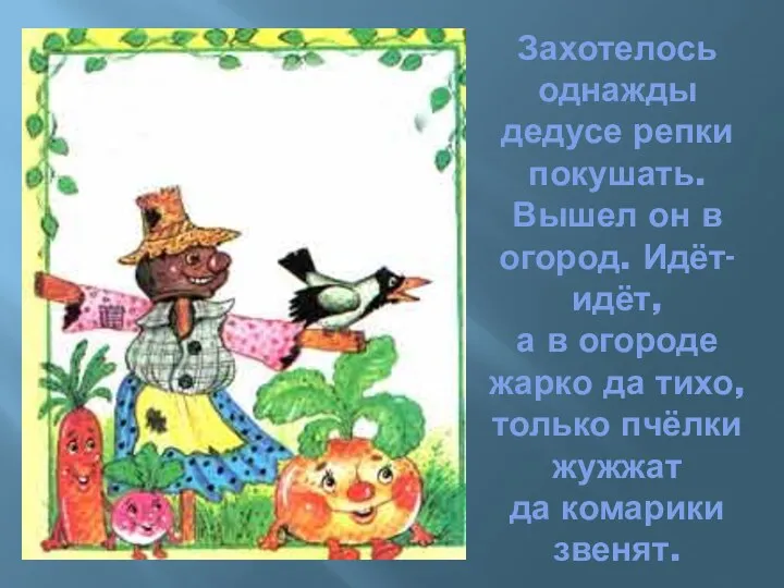 Захотелось однажды дедусе репки покушать. Вышел он в огород. Идёт-идёт,