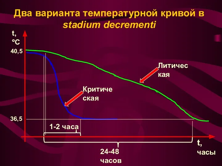 Два варианта температурной кривой в stadium decrementi