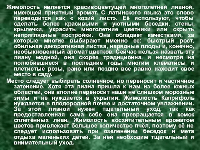 Жимолость является красивоцветущей многолетней лианой, имеющей приятный аромат. С латинского