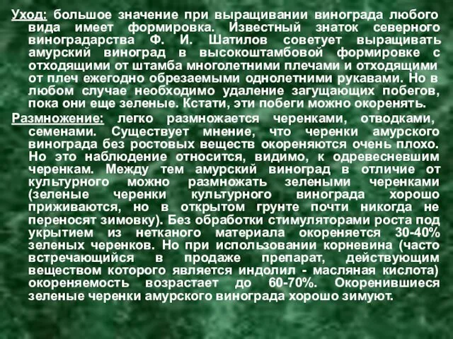 Уход: большое значение при выращивании винограда любого вида имеет формировка.