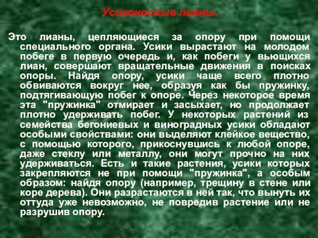 Усиконосные лианы. Это лианы, цепляющиеся за опору при помощи специального