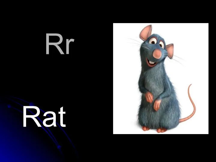 Rr Rat