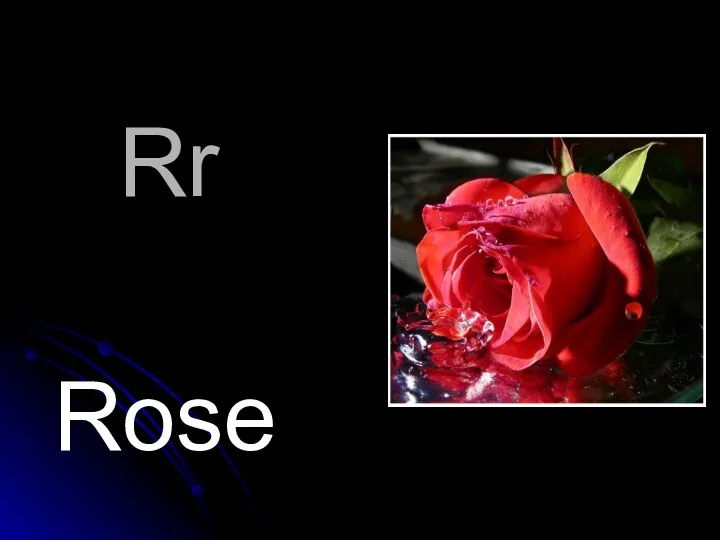 Rr Rose