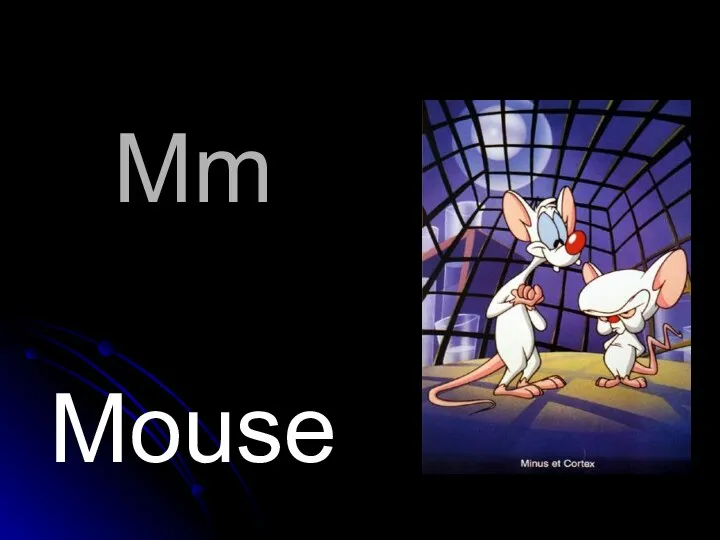 Mm Mouse